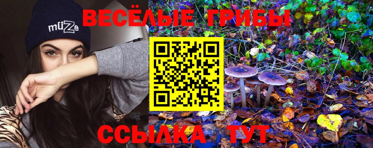 Галлюциногенные грибы мицелий Ейск